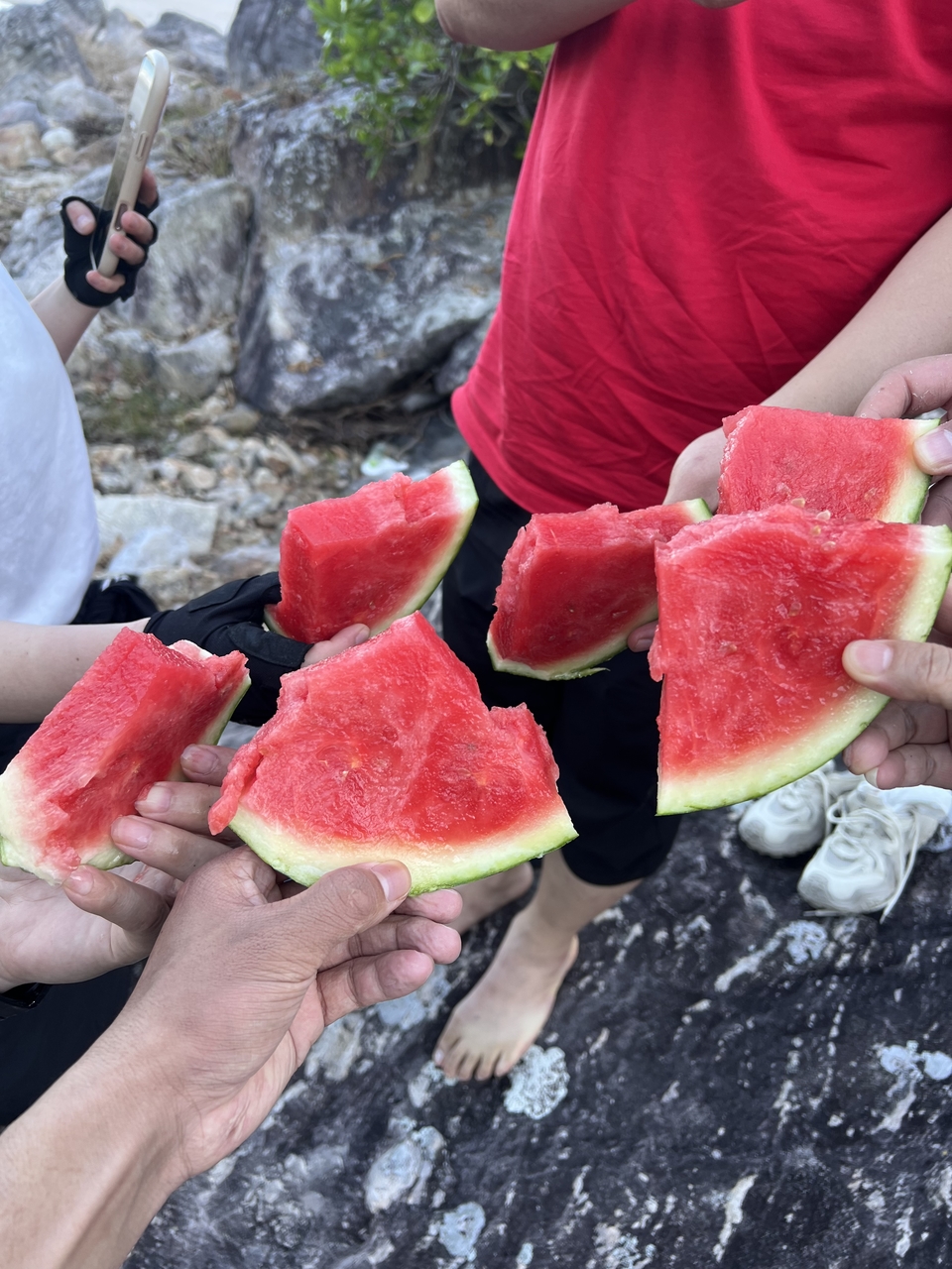 微信图片_20251001194632_142_3696