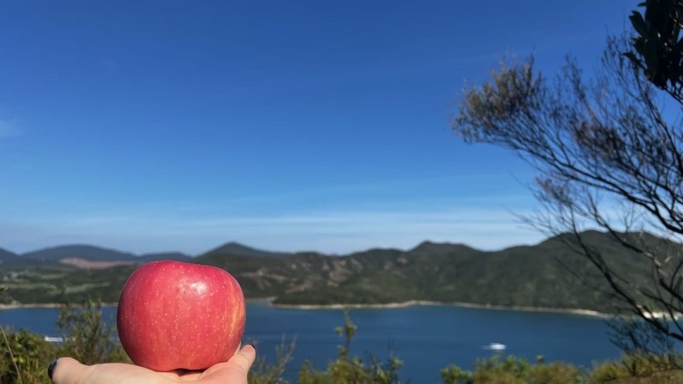 微信图片_20251001202523_164_3696