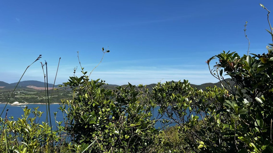 微信图片_20251001202525_165_3696