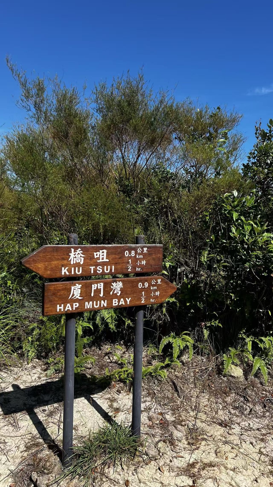 微信图片_20251001202527_166_3696