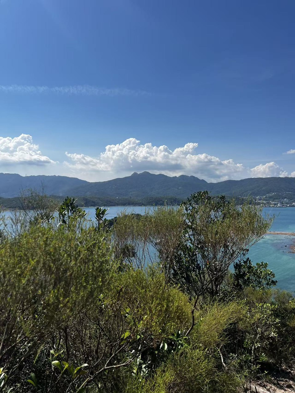 微信图片_20251001202530_168_3696