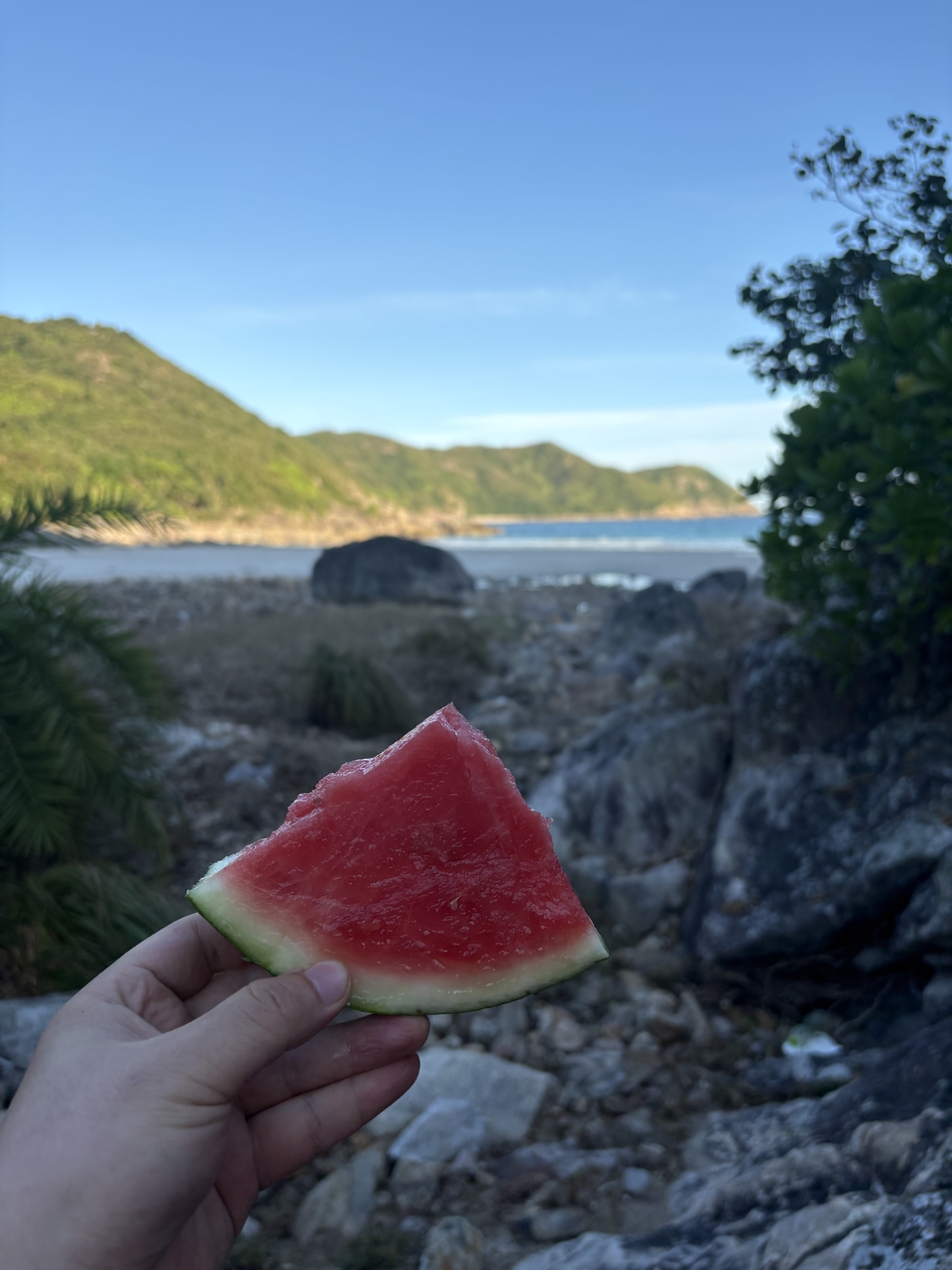 微信图片_20251001203538_173_3696