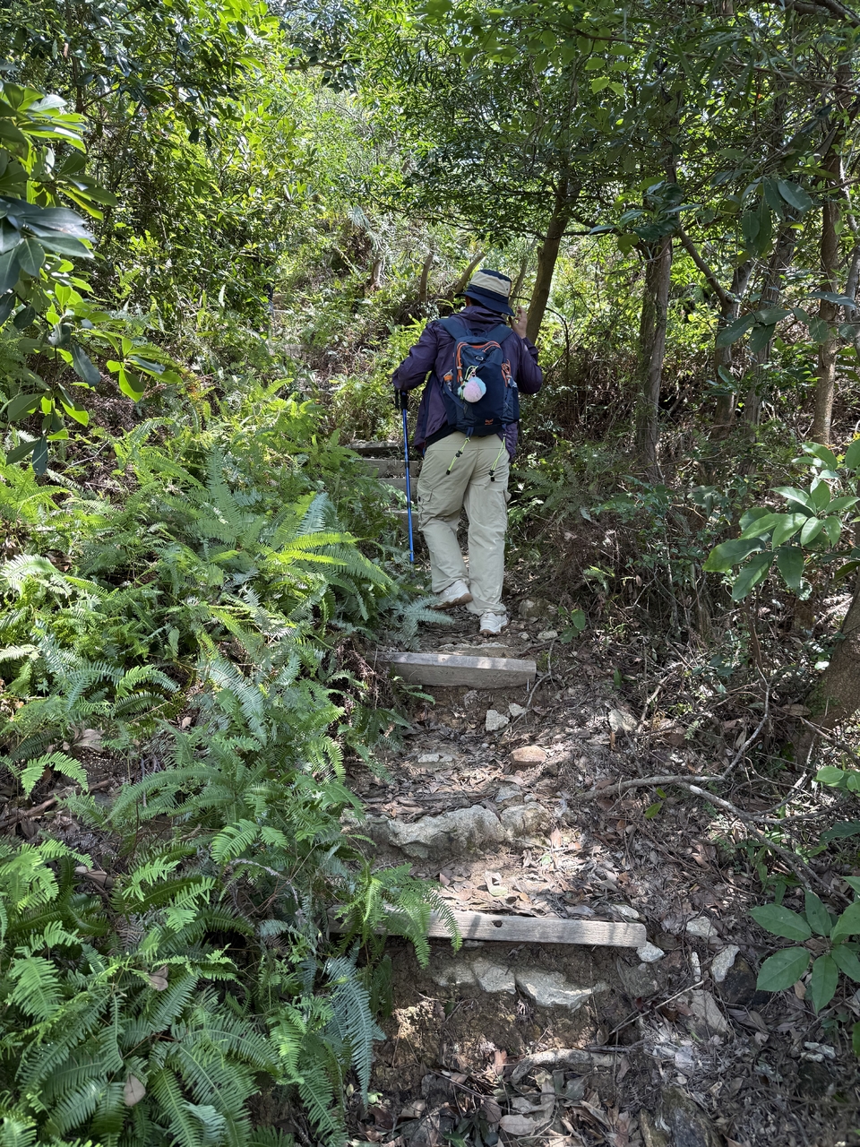 微信图片_20251001203731_180_3696