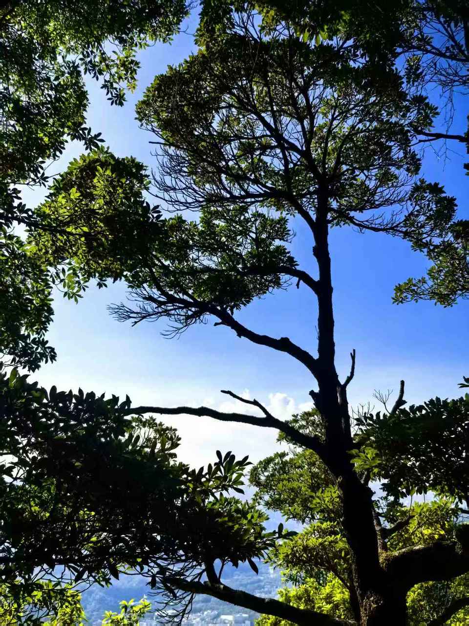 微信图片_20251001155449_286_3689