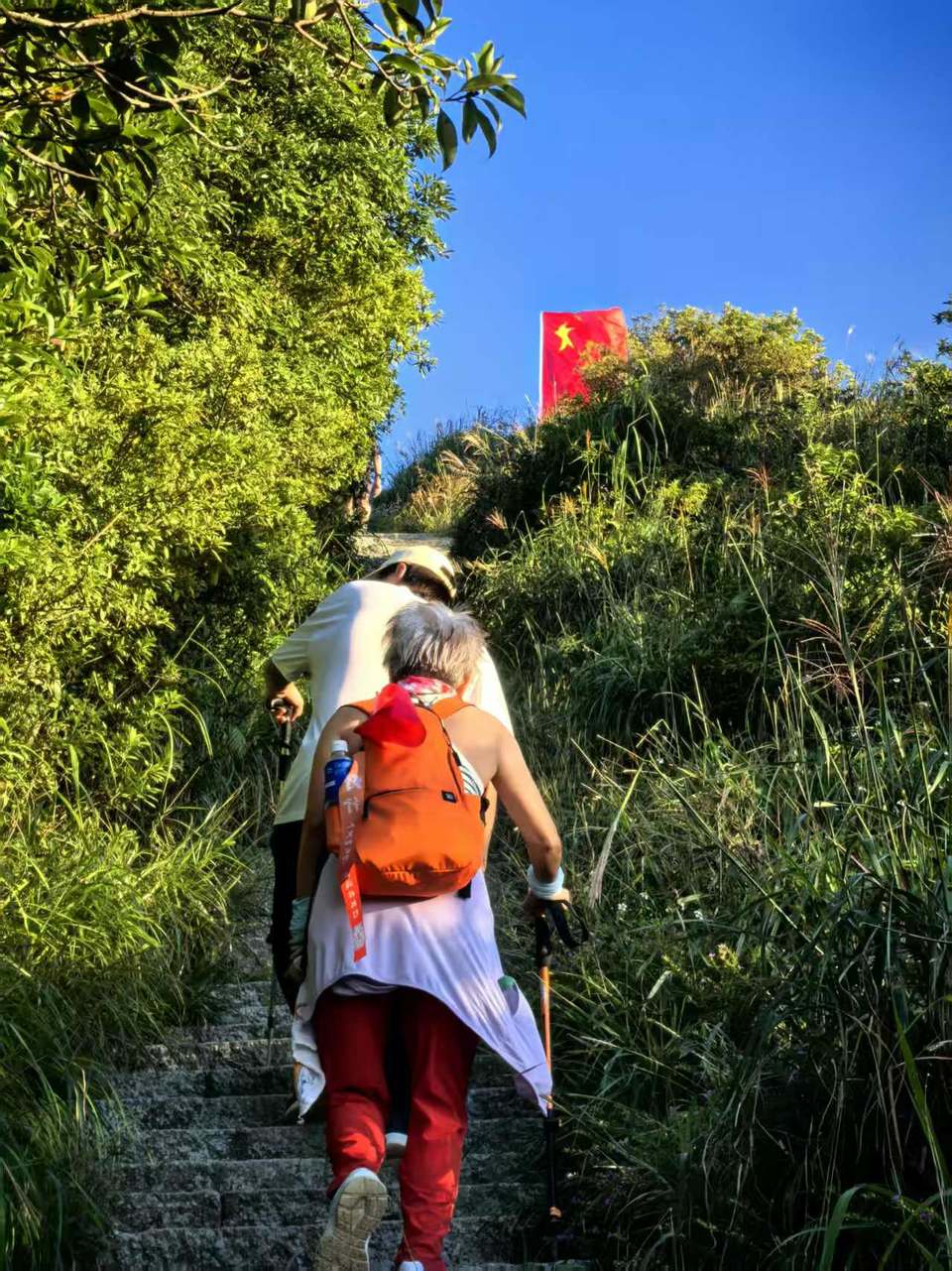 微信图片_20251001172710_404_3689