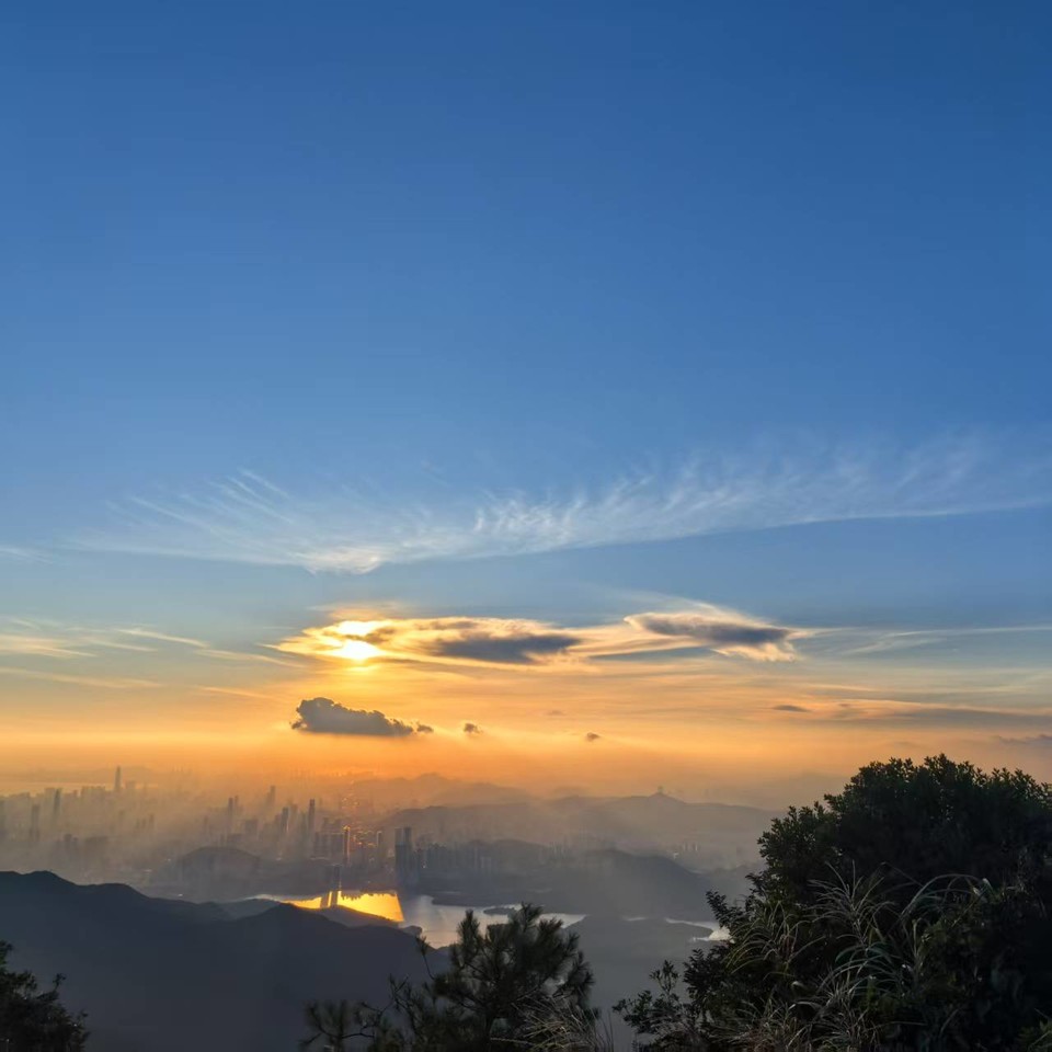 微信图片_20251001185336_548_3689