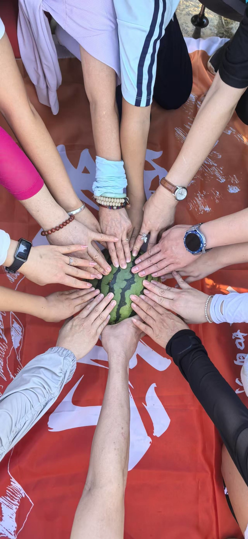 微信图片_20251001204359_633_3689