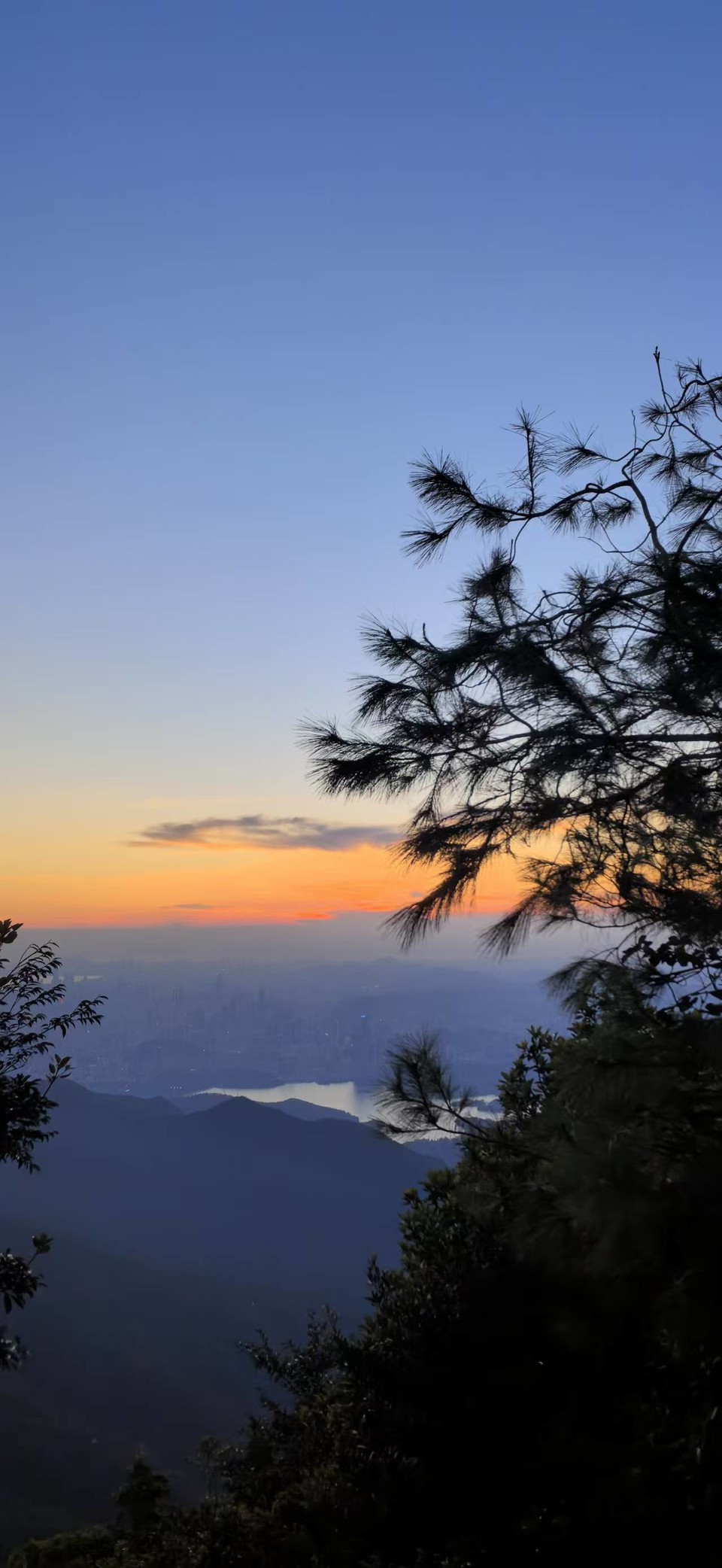 微信图片_20251001204522_690_3689