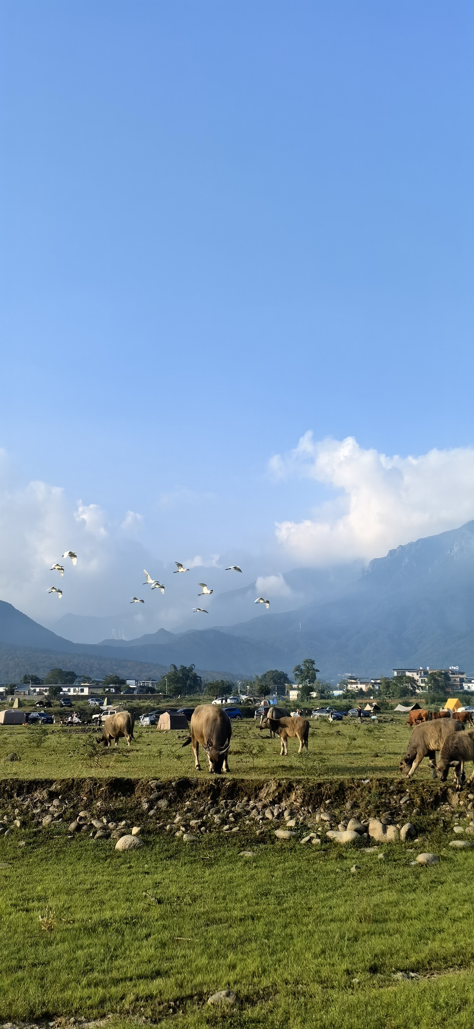 微信图片_20251004153043_1499_3624