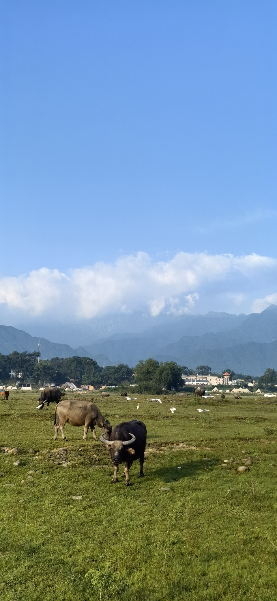 微信图片_20251004153047_1502_3624