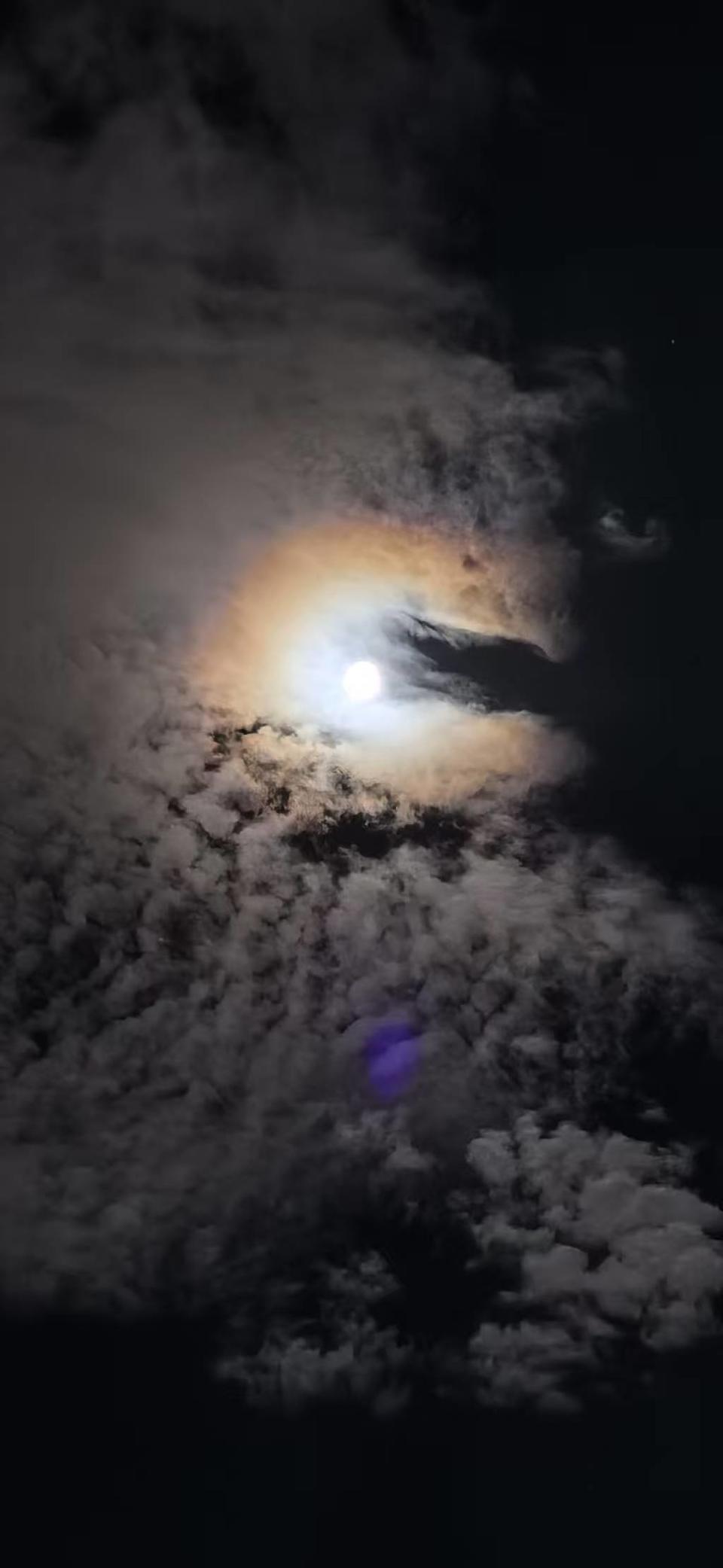 微信图片_20251004215250_1590_3624