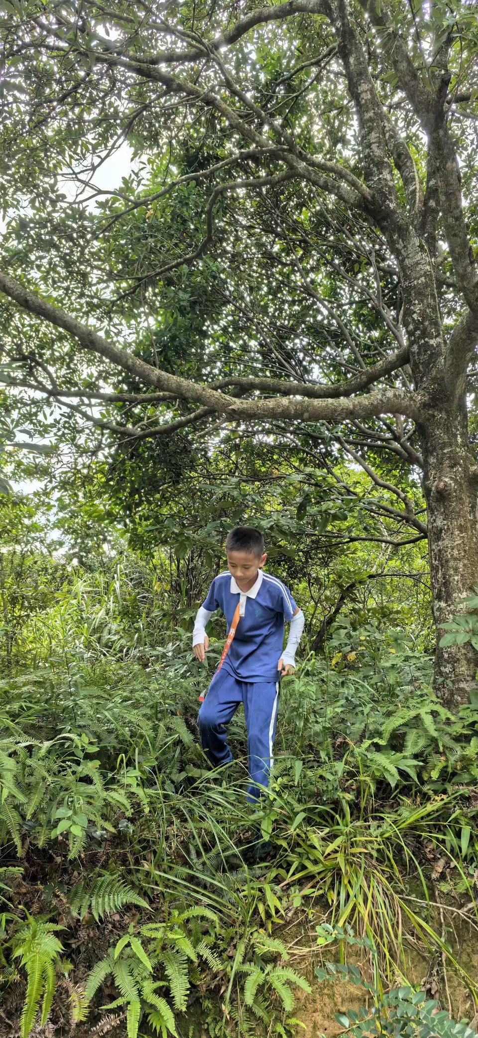 微信图片_20251008120233_120_3802