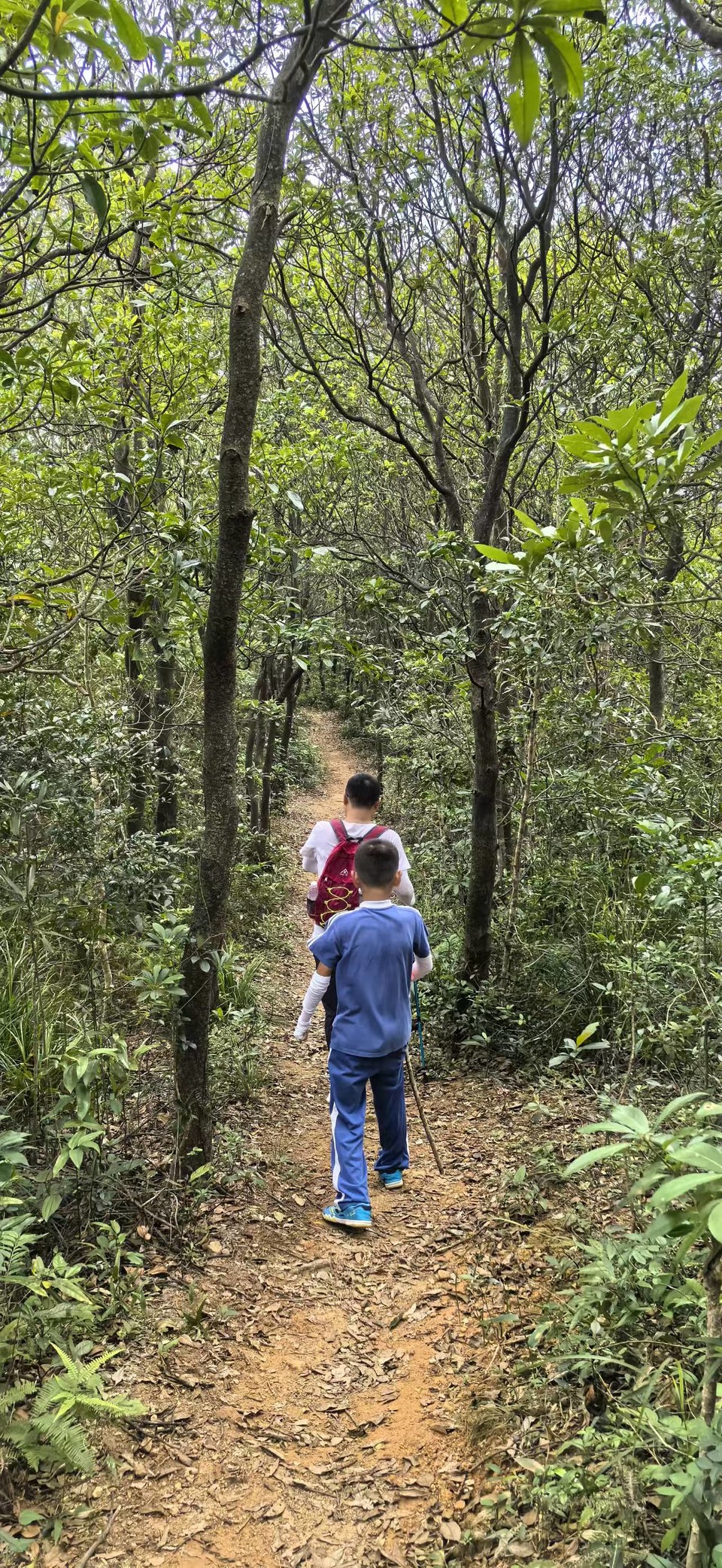 微信图片_20251008120435_136_3802