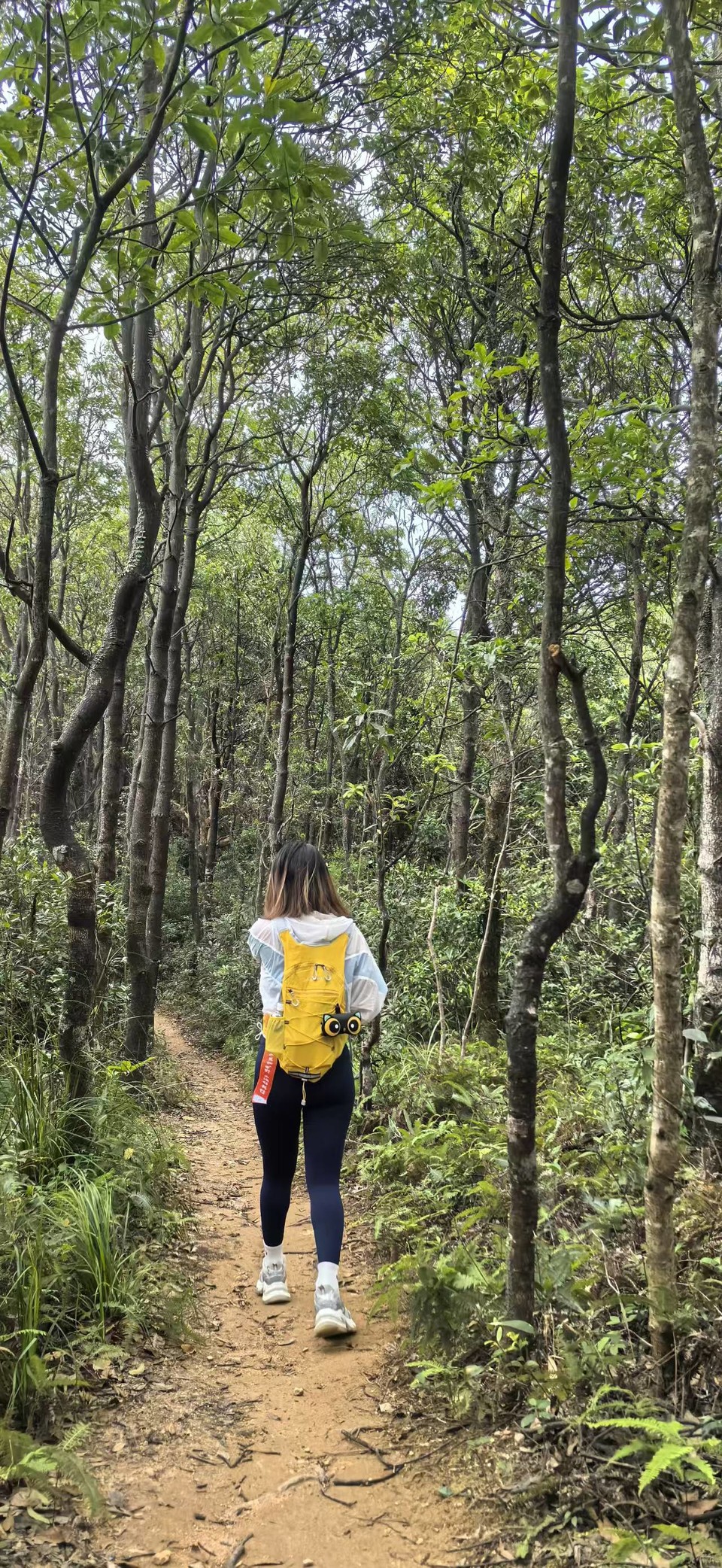 微信图片_20251008120449_143_3802