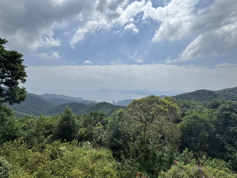 微信图片_20251008123218_155_3802