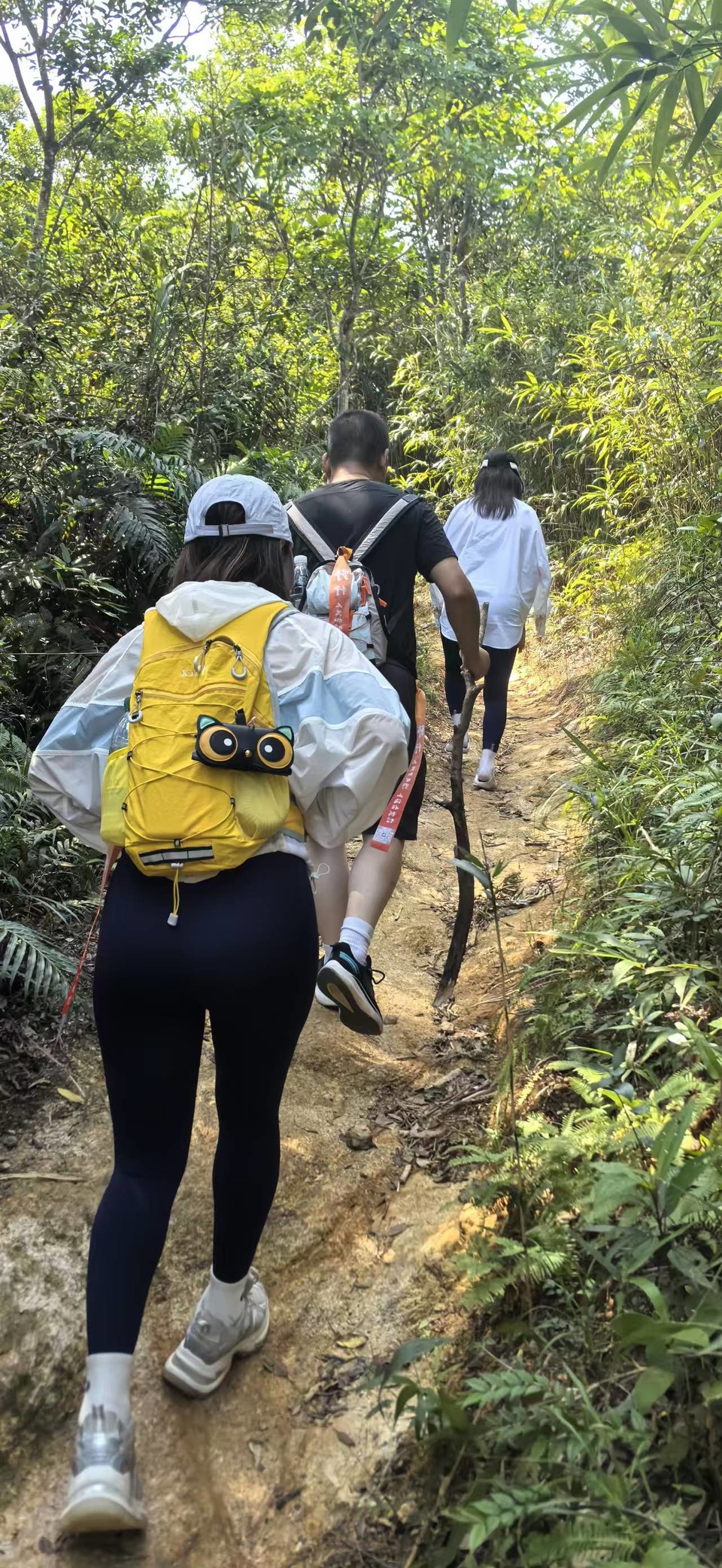 微信图片_20251008222655_203_3802