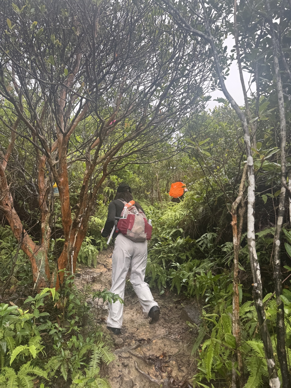 微信图片_20251012142229_1993_3432