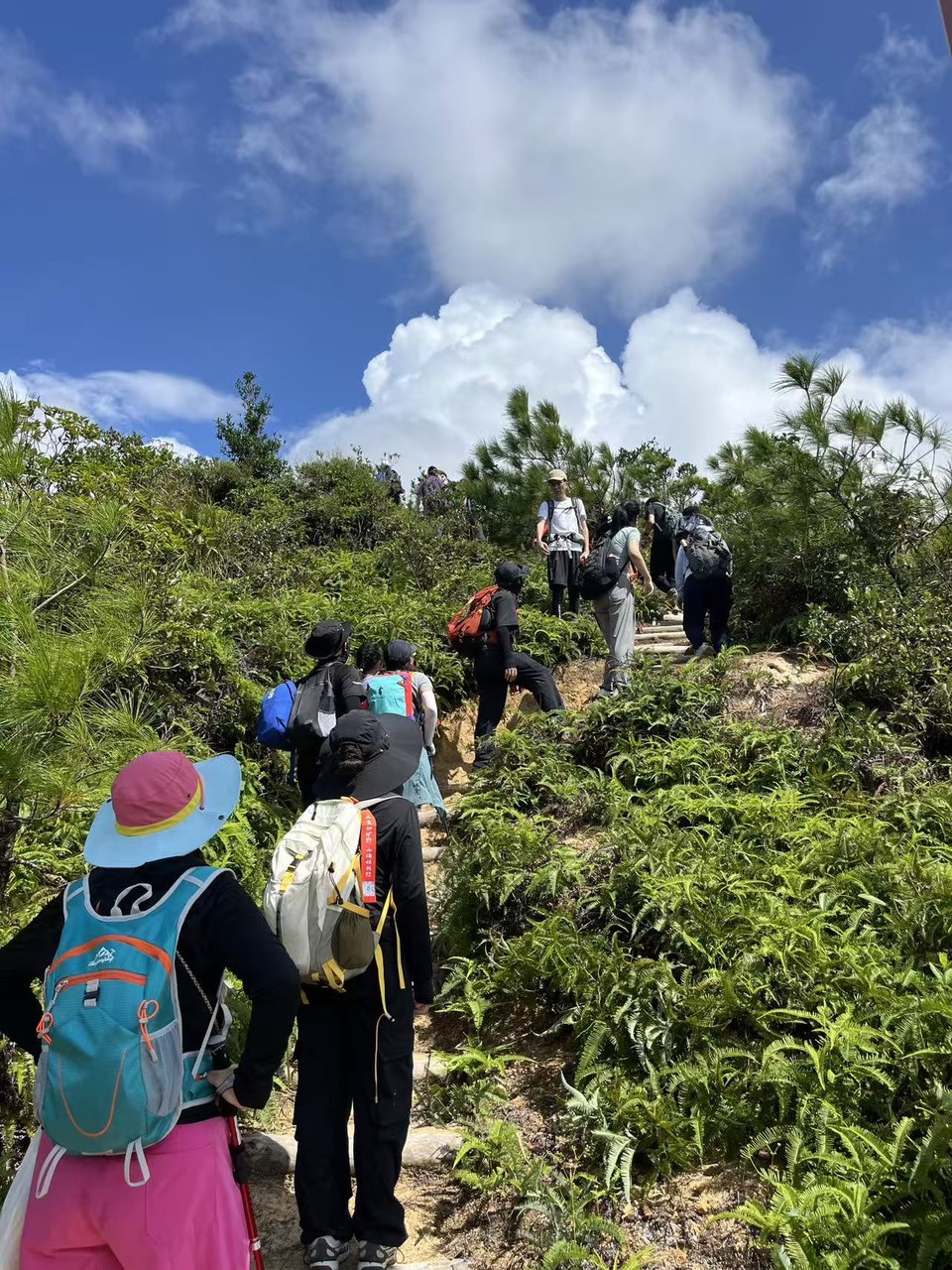 微信图片_20251012220306_2495_3432