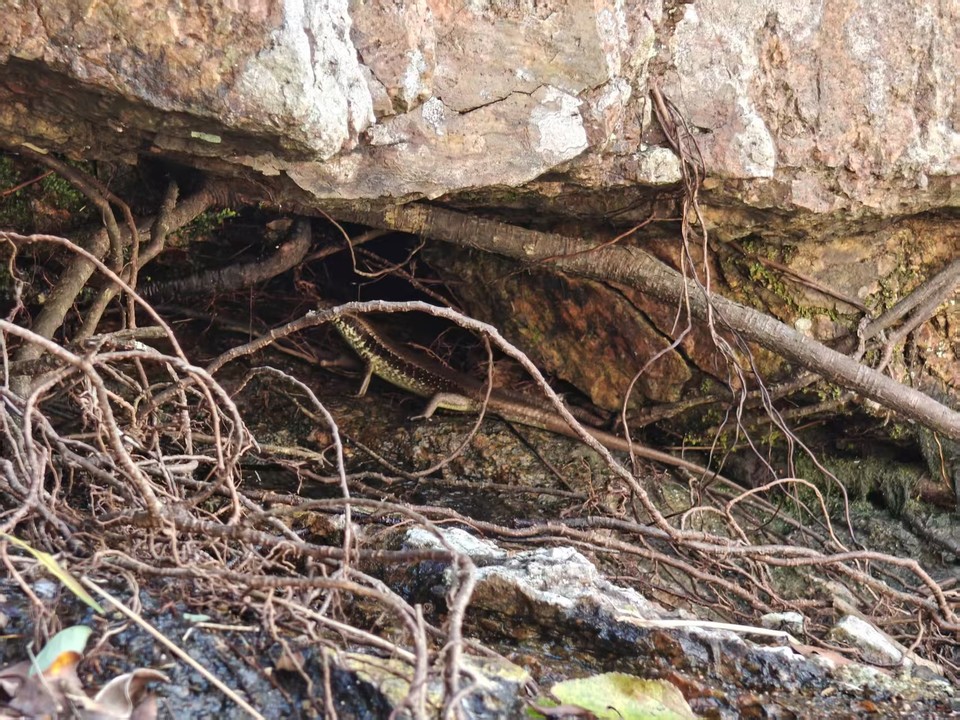 微信图片_20251013140712_1108_3878