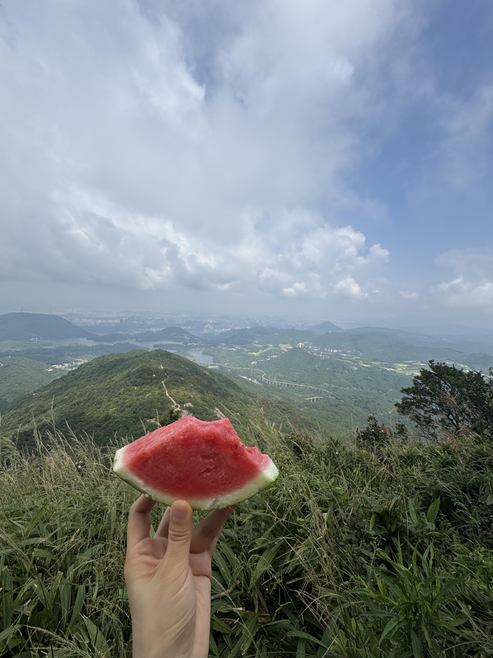 微信图片_20251016122930_584_3880