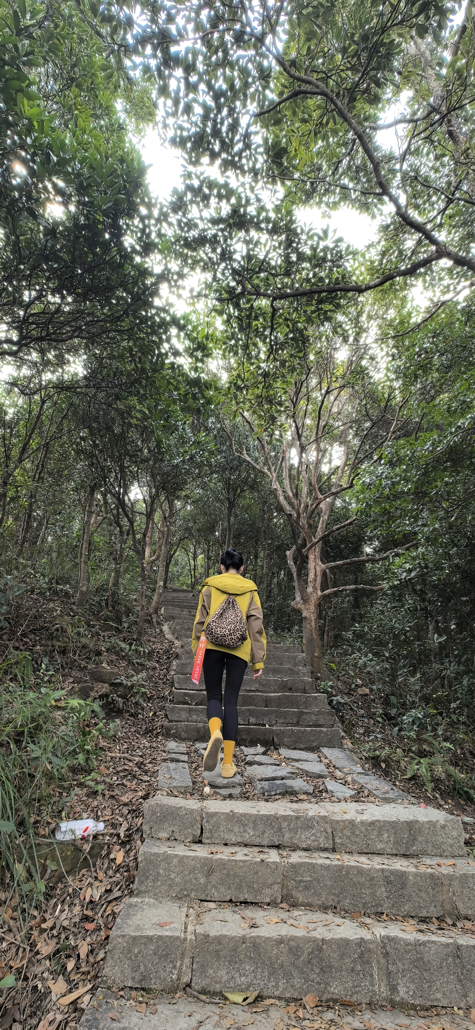 微信图片_20251016145649_741_3880