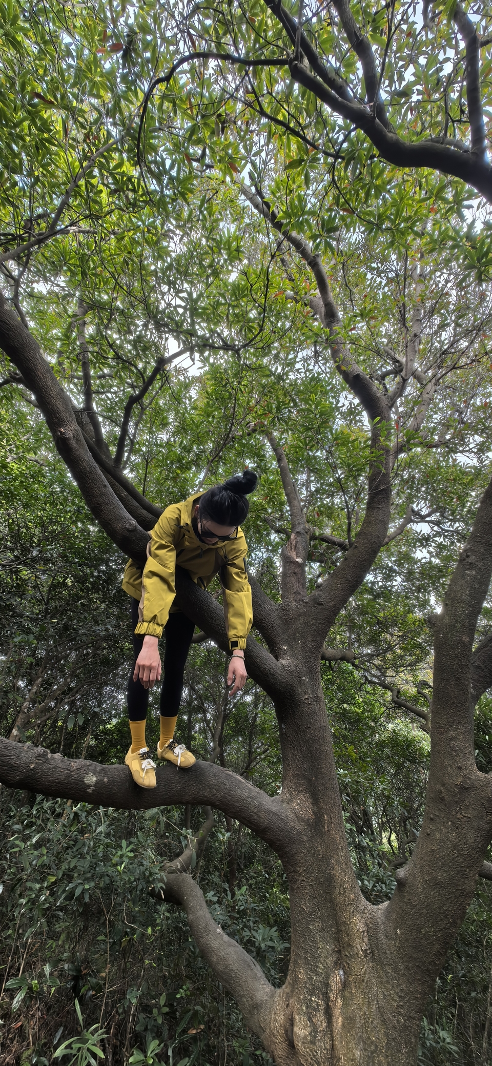 微信图片_20251016145653_743_3880