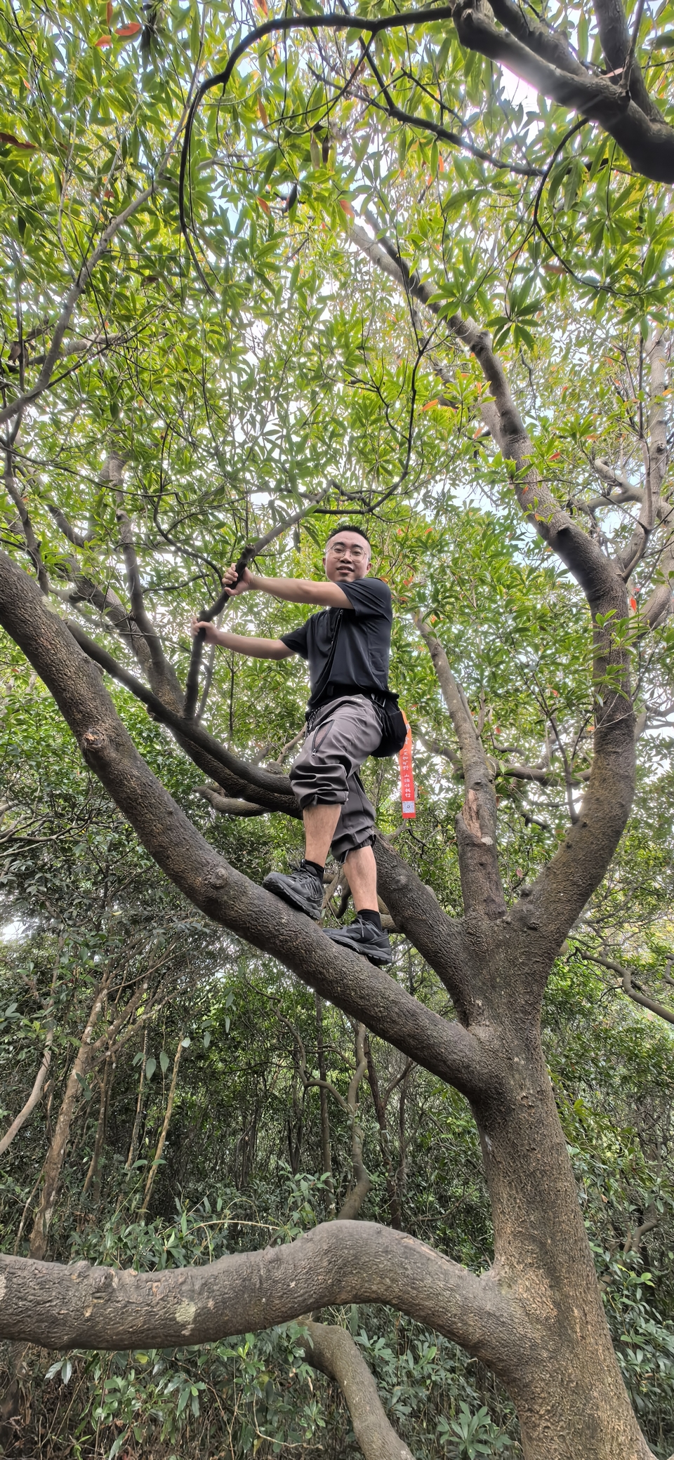 微信图片_20251016145656_745_3880