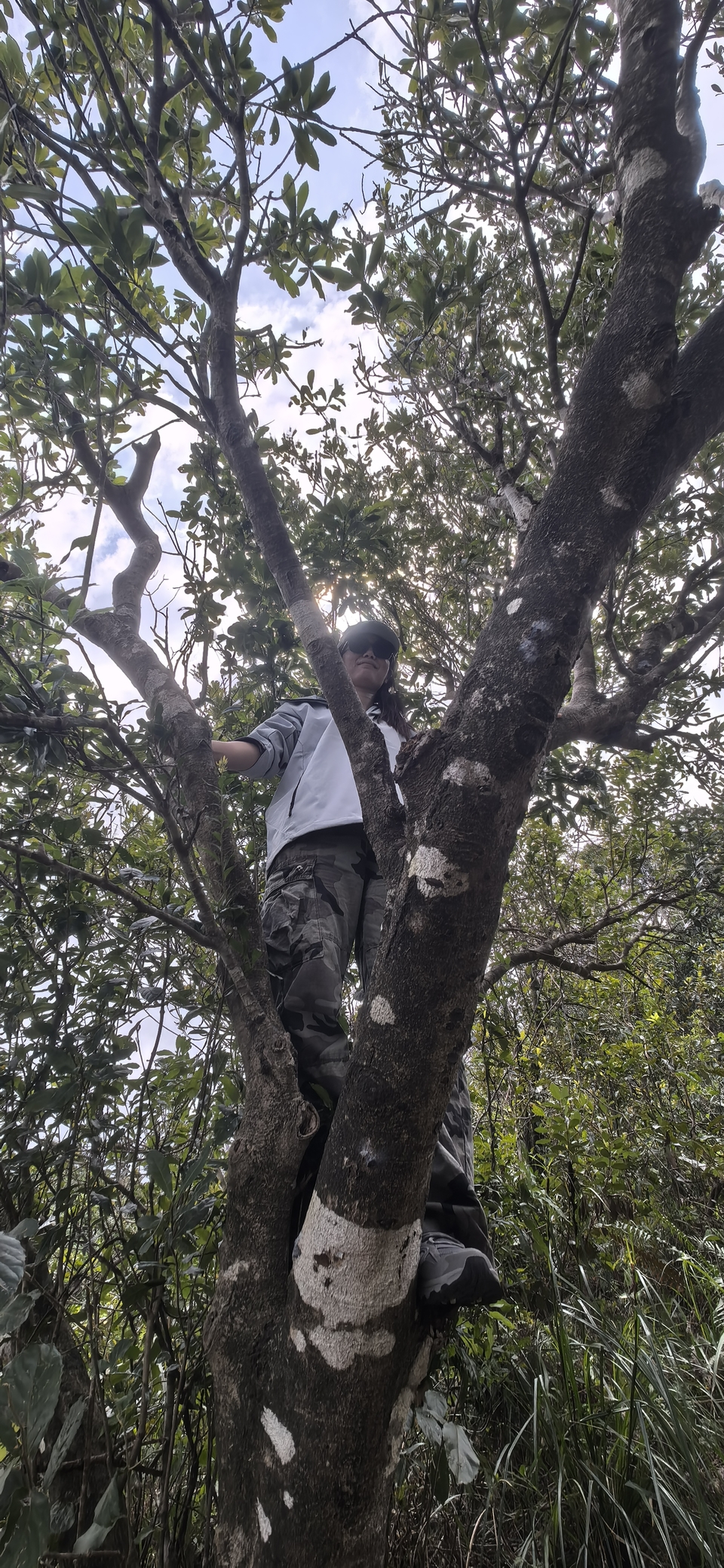 微信图片_20251016145658_746_3880