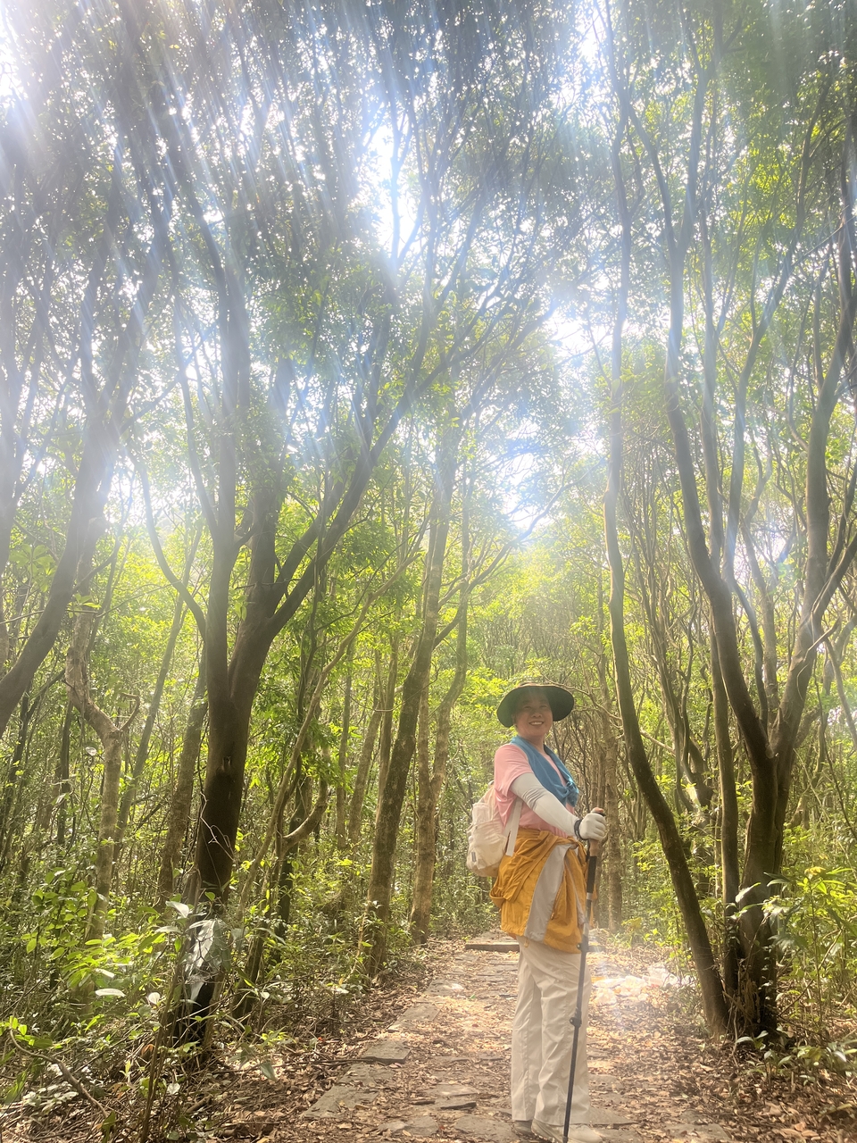 微信图片_20251016151431_771_3880