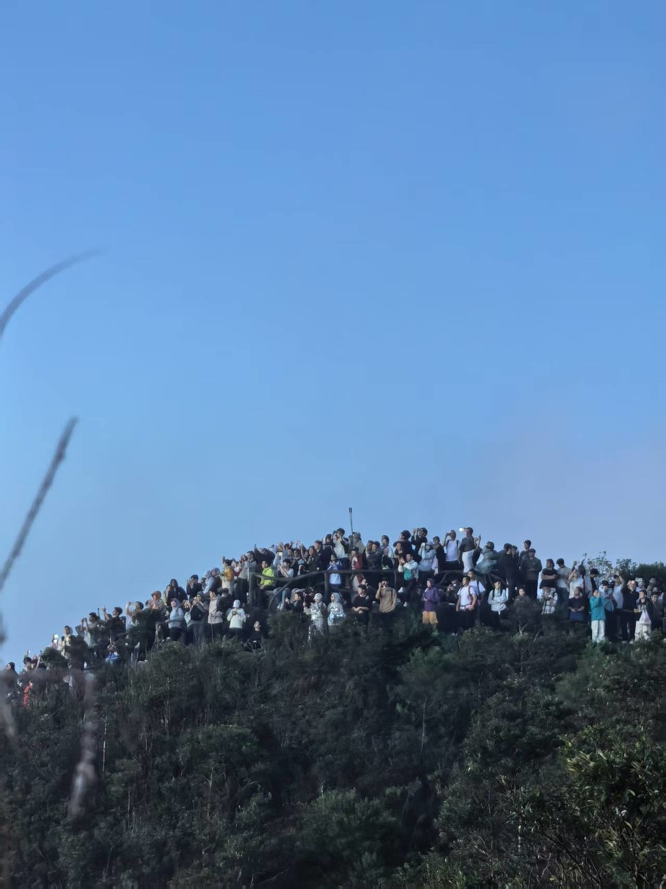 微信图片_20251019060741_1346_3929