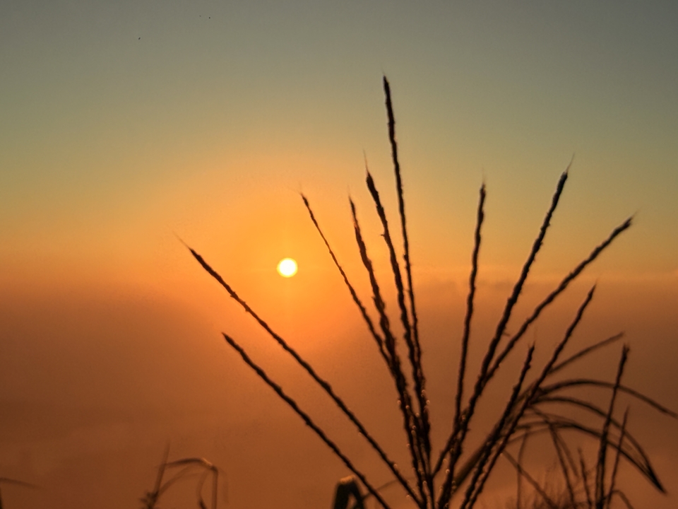 微信图片_20251019063521_1363_3929