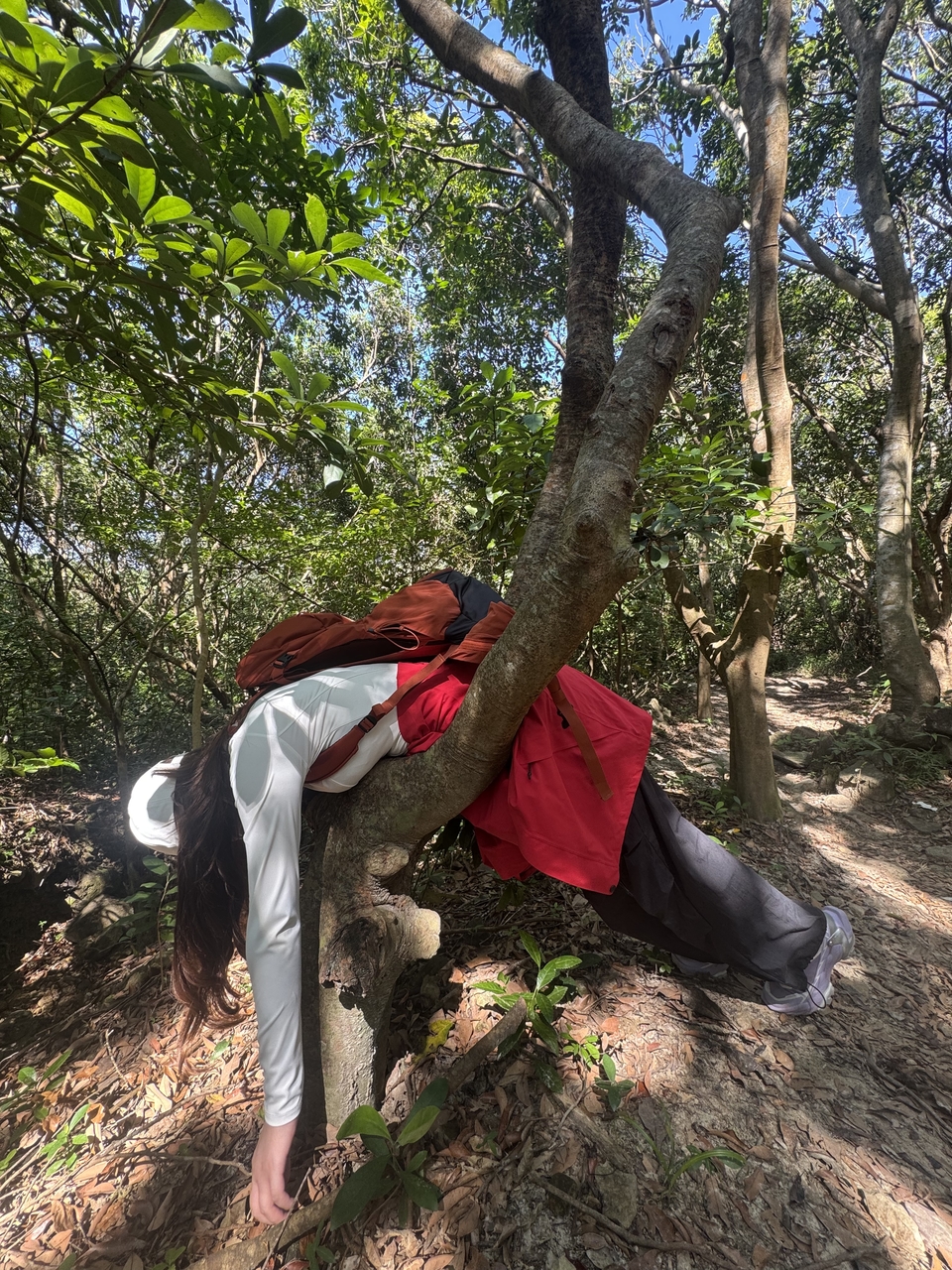 微信图片_20251025120609_180_4097