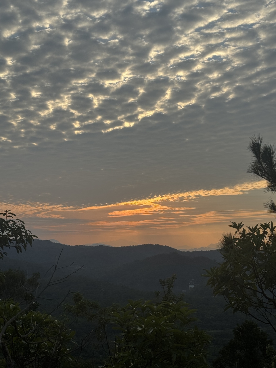 微信图片_20251025171407_306_4097