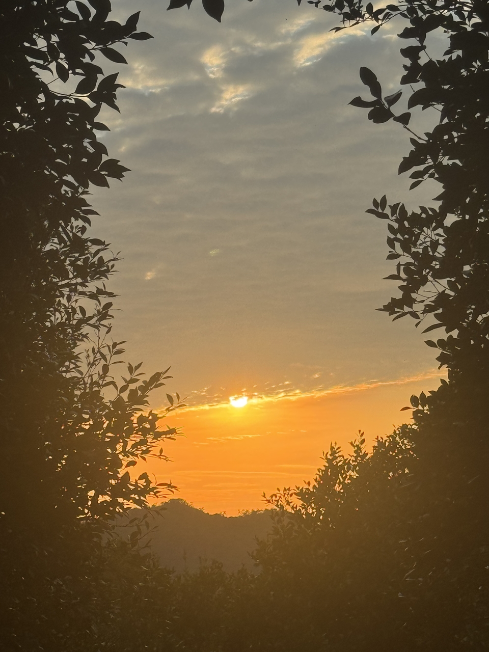 微信图片_20251025172434_308_4097