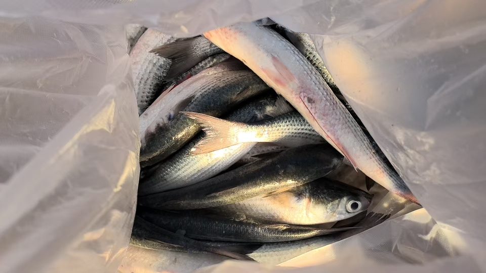 微信图片_20251026070549_978_4092