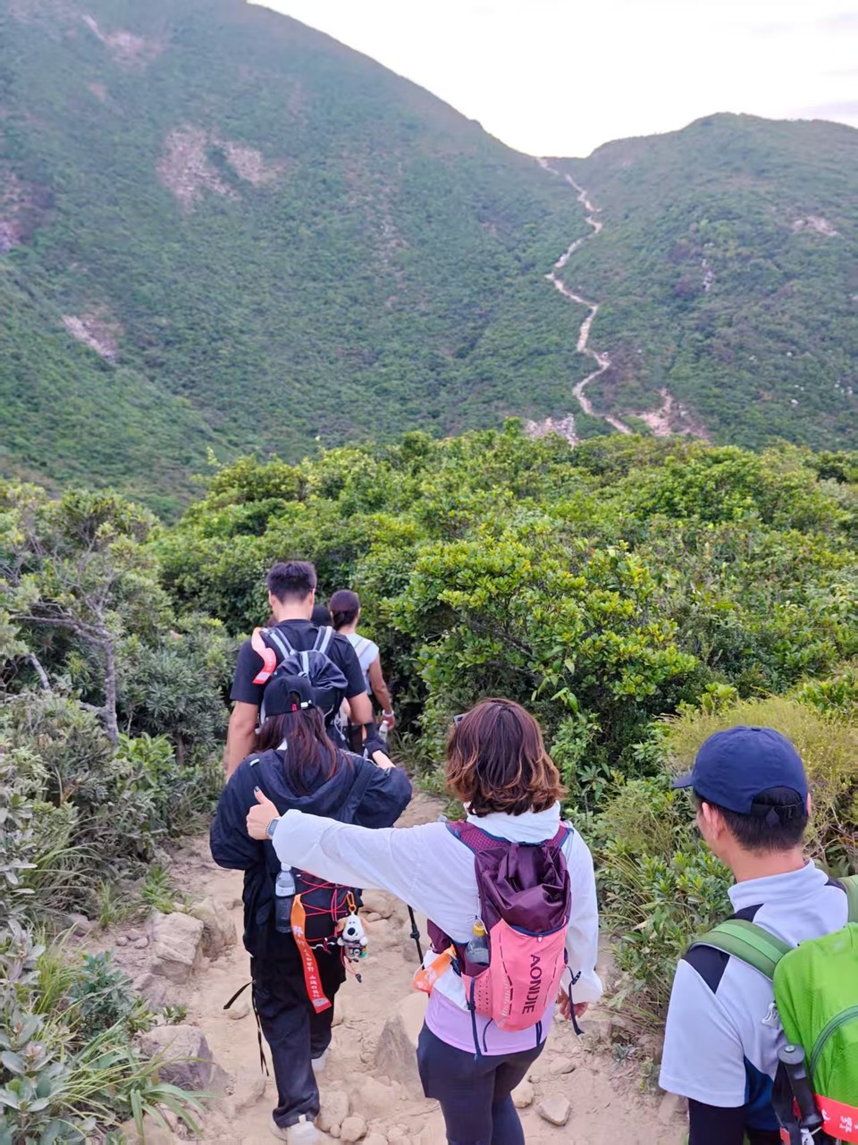 微信图片_20251026180100_11321_1631