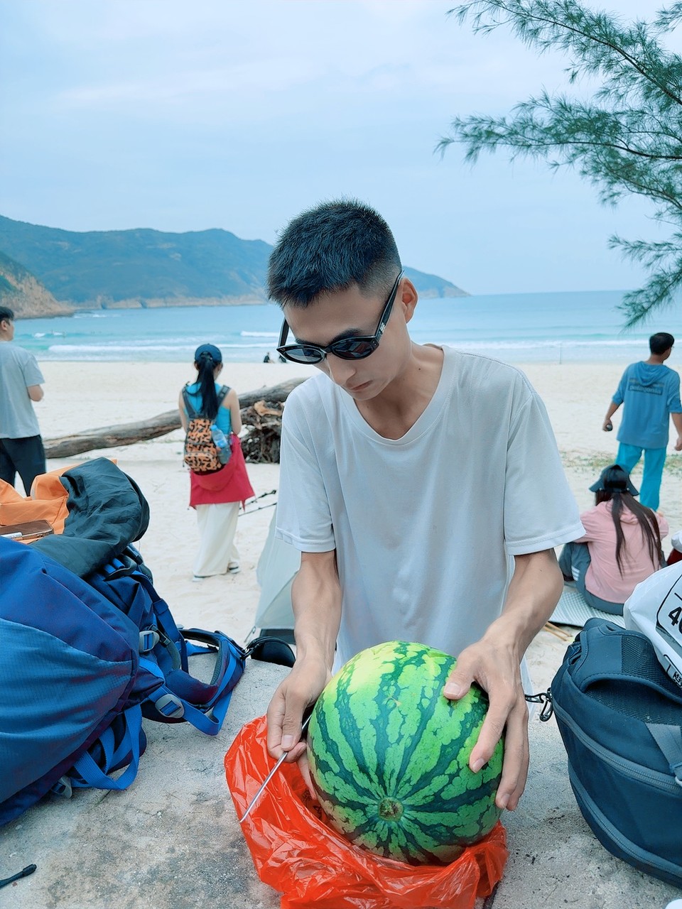 微信图片_20251027141219_225_4169