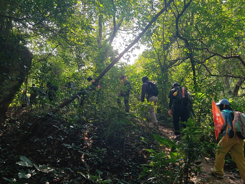 微信图片_20251101171546_539_4181