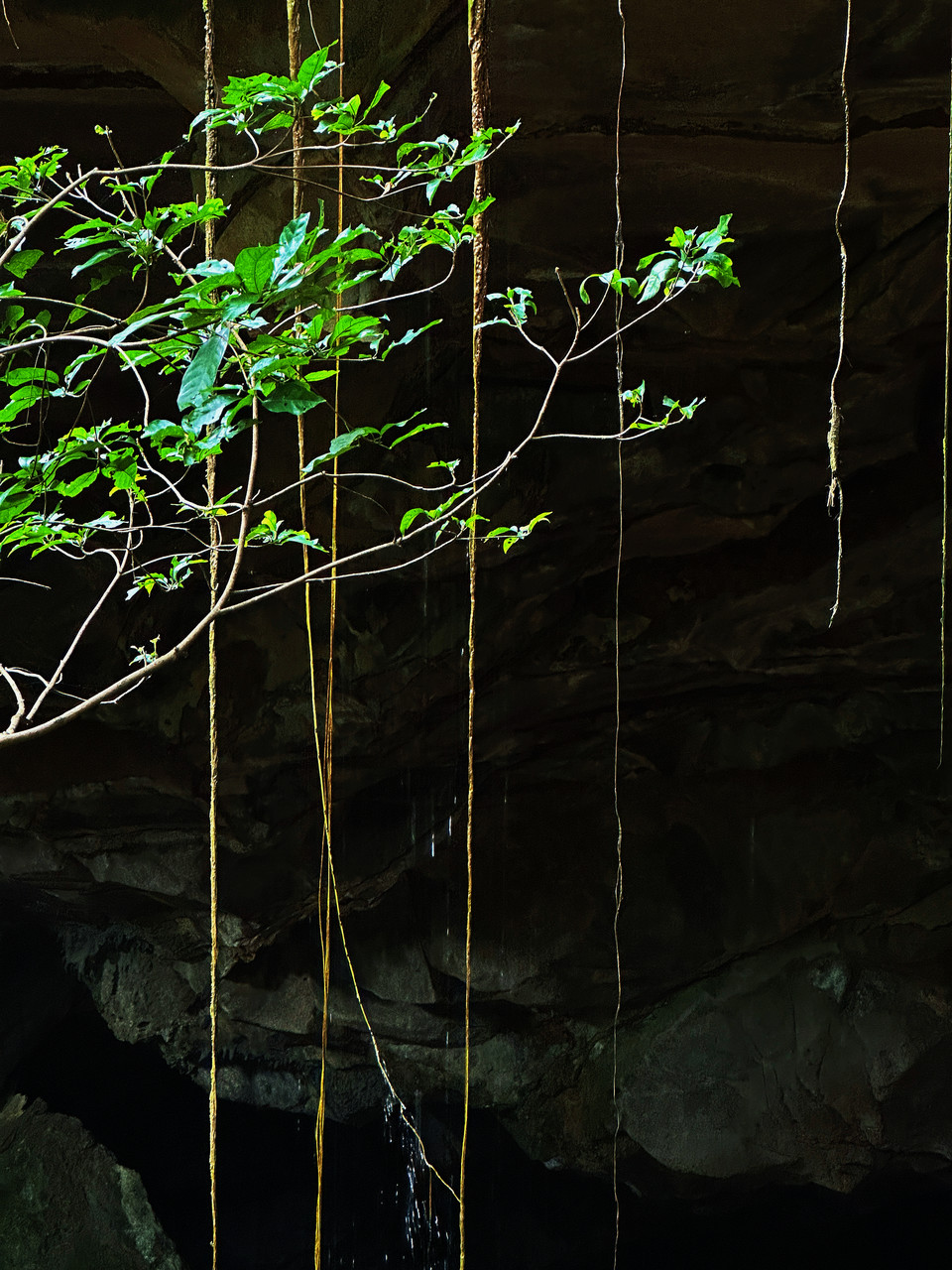 微信图片_20251101193243_838_4181