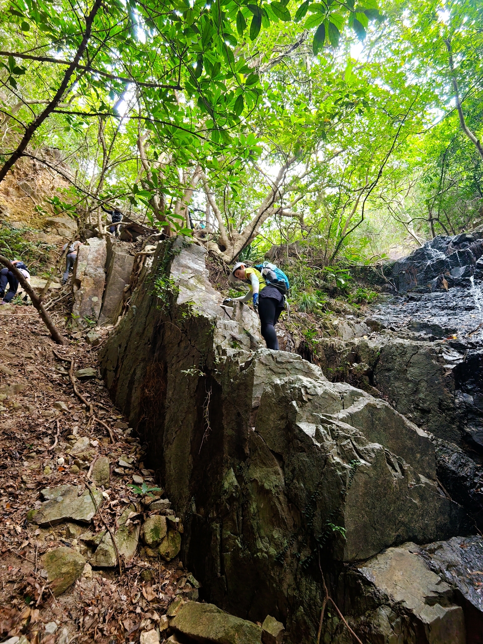 微信图片_20251102134738_10342_3009