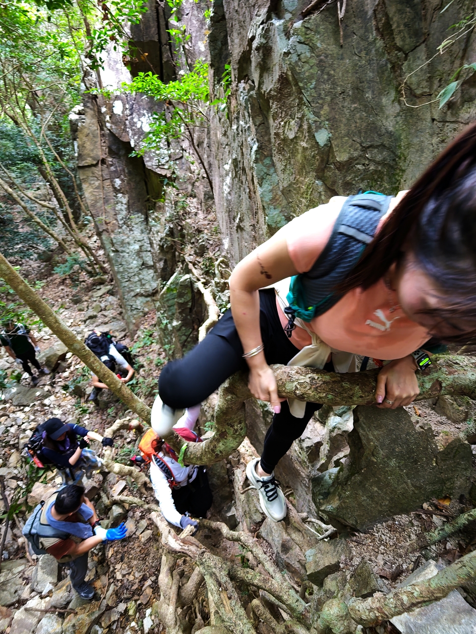 微信图片_20251102173202_863_4057