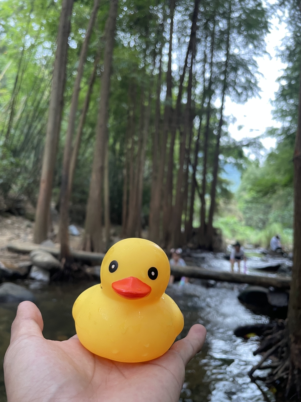 微信图片_20251102162913_1073_4186