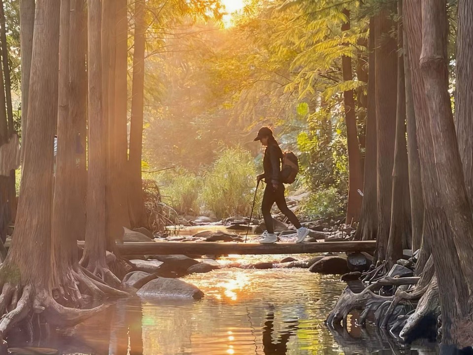 微信图片_20251102180013_1239_4186