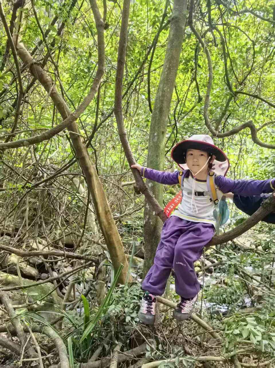 微信图片_20251102180324_1272_4186