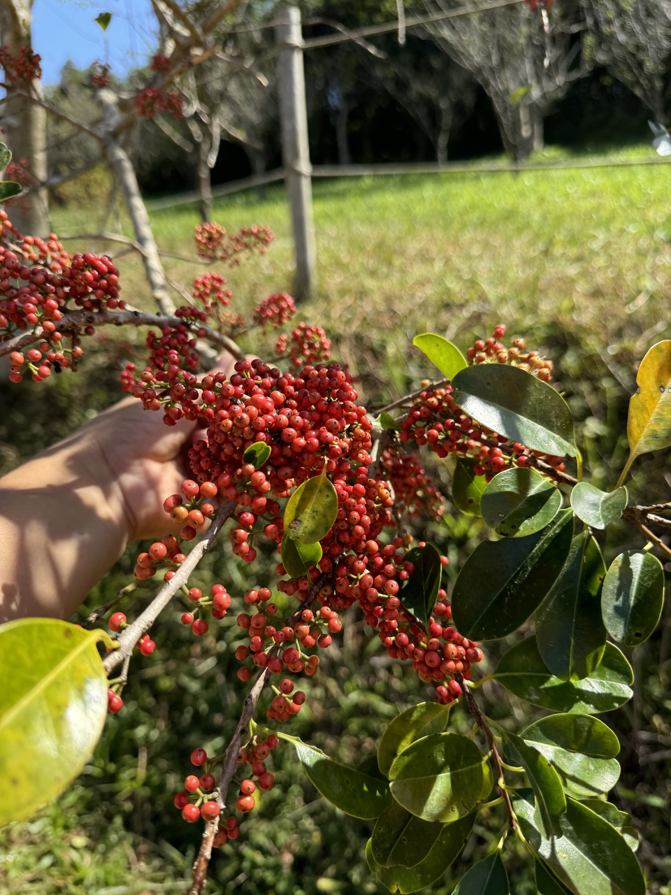 微信图片_20251108124032_249_4437