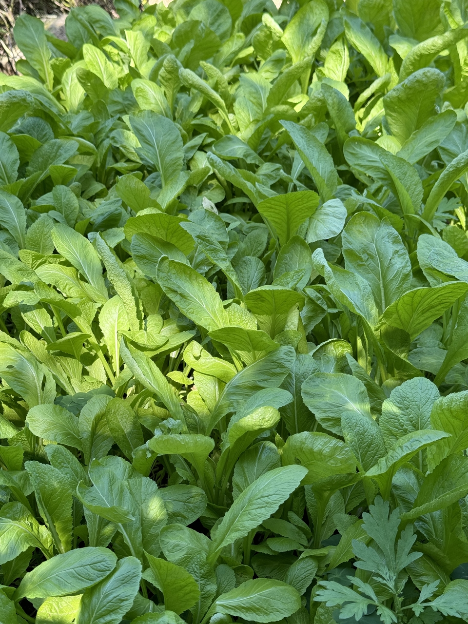 微信图片_20251108132921_361_4437