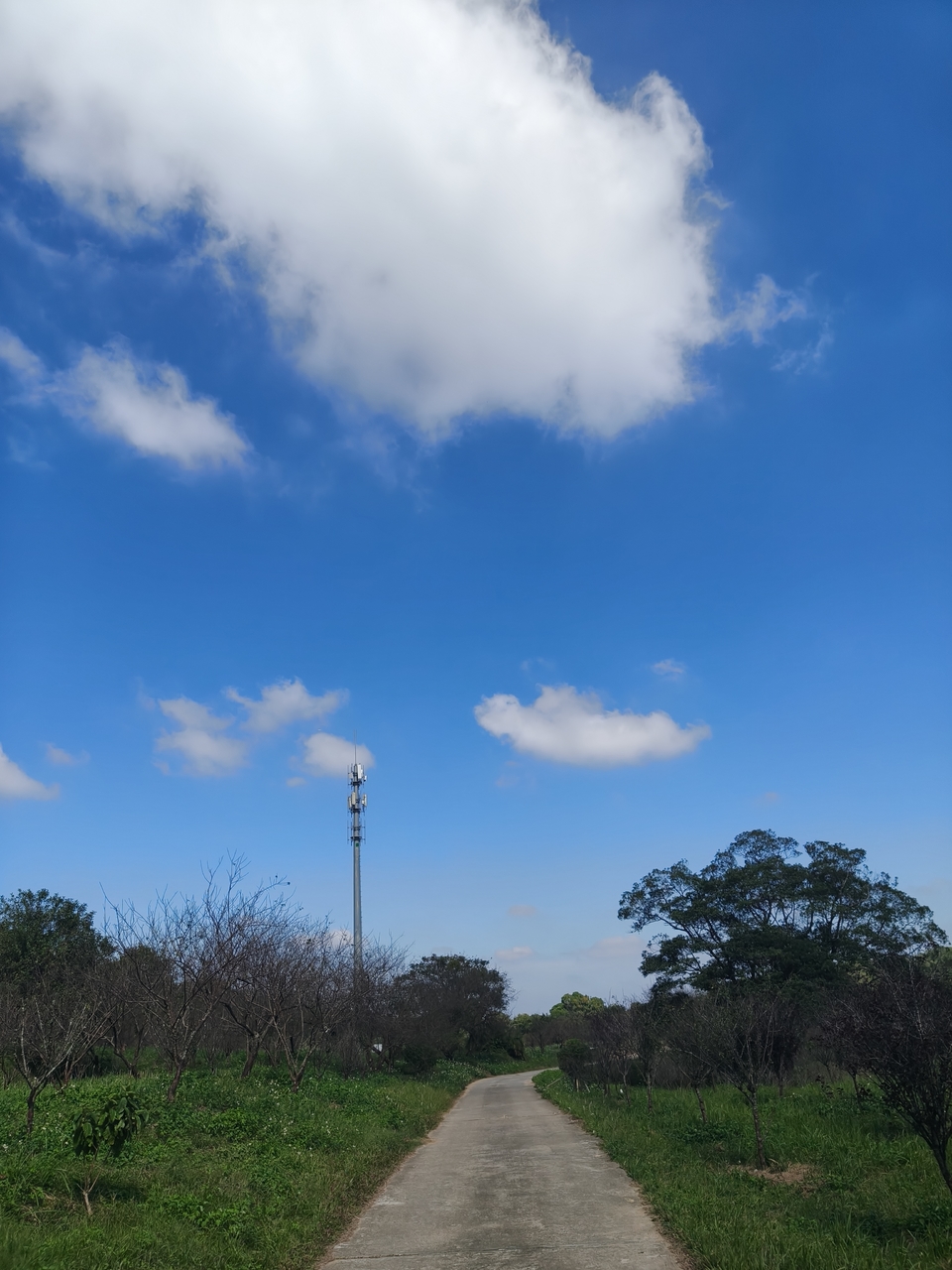 微信图片_20251108180115_514_4437