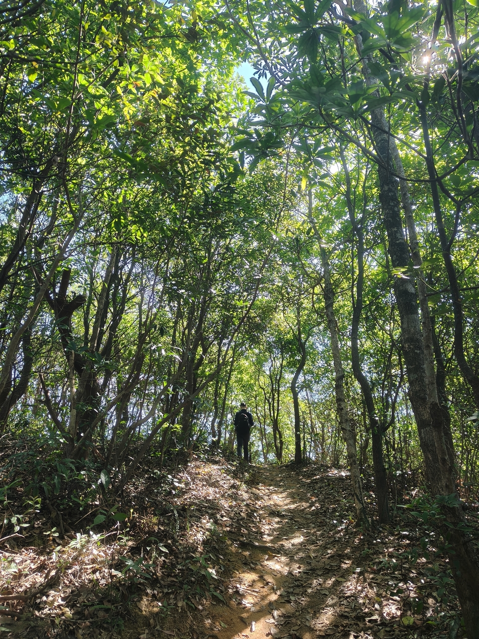 微信图片_20251108180349_561_4437