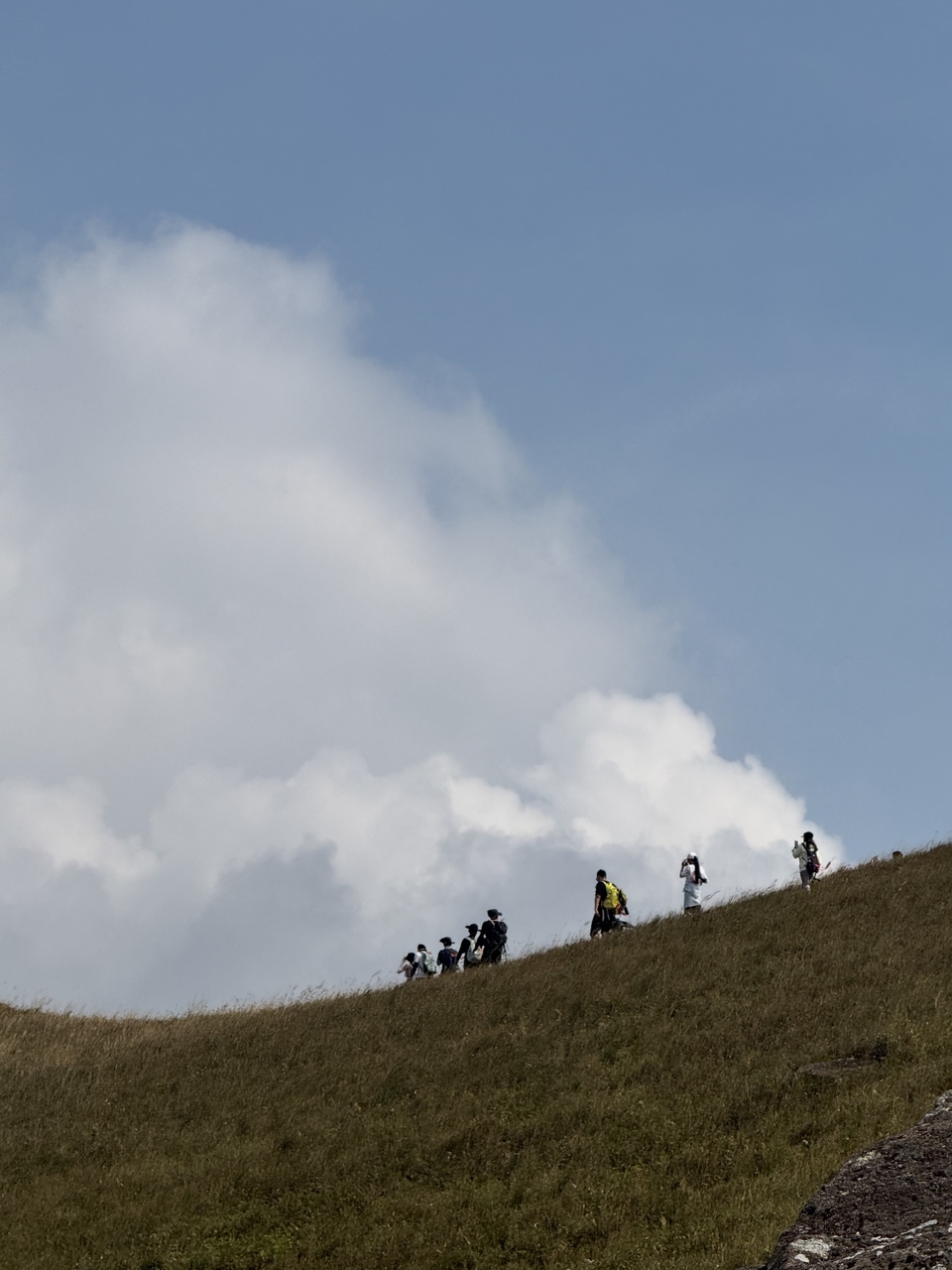 微信图片_20251109154817_725_4310