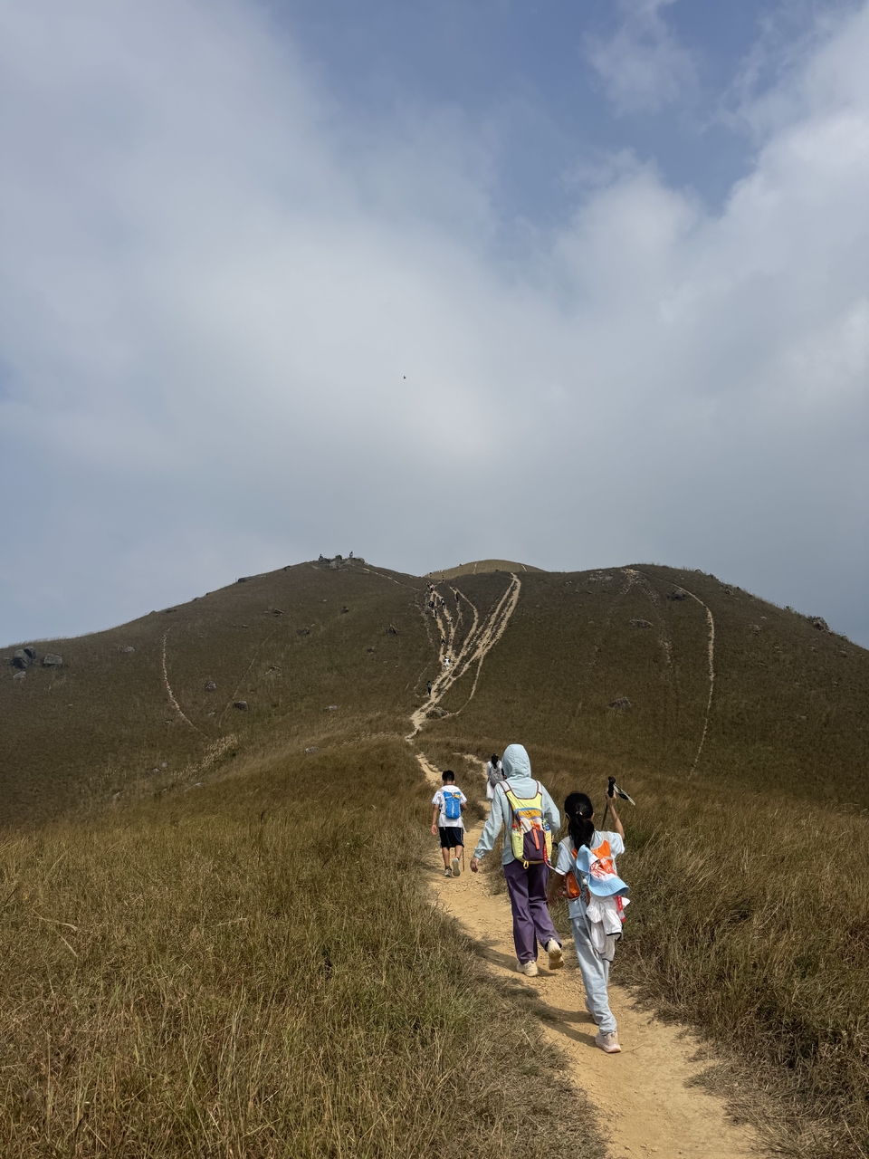 微信图片_20251109154825_727_4310